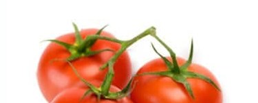 Tomate